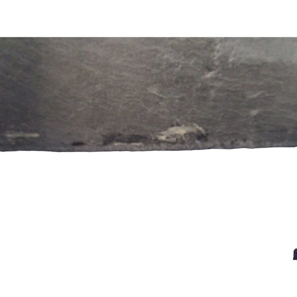 Santa Cat Print On Slate Tile Plaque Knotted Leather Hanger GUC So Much Detail - Picture 14 of 15